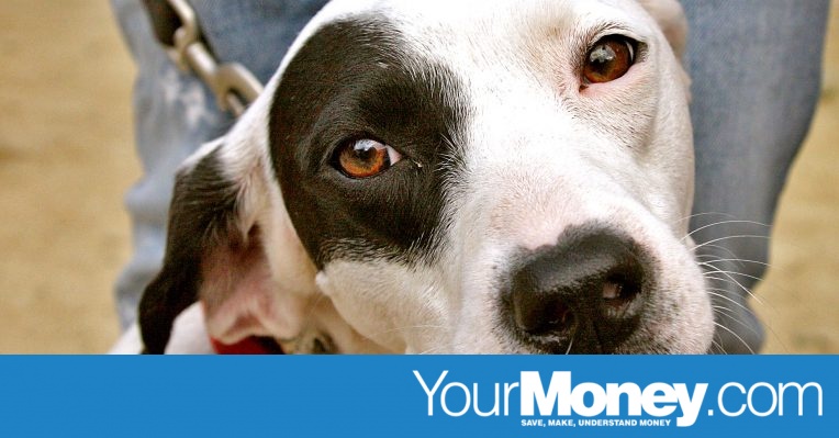 Is your money in an underperforming dog fund?