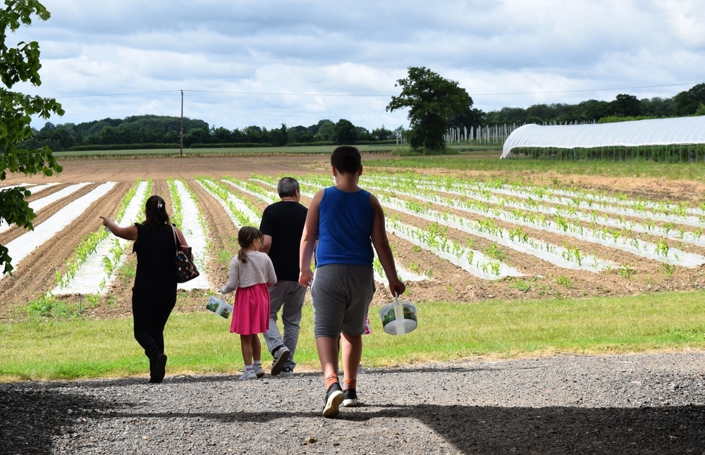 a family walking in a field to denote a story on half term hacks