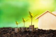 Green shoots of plants to denote a blog on income funds