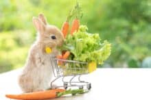 Rabbit with trolley to denote March supermarket offers